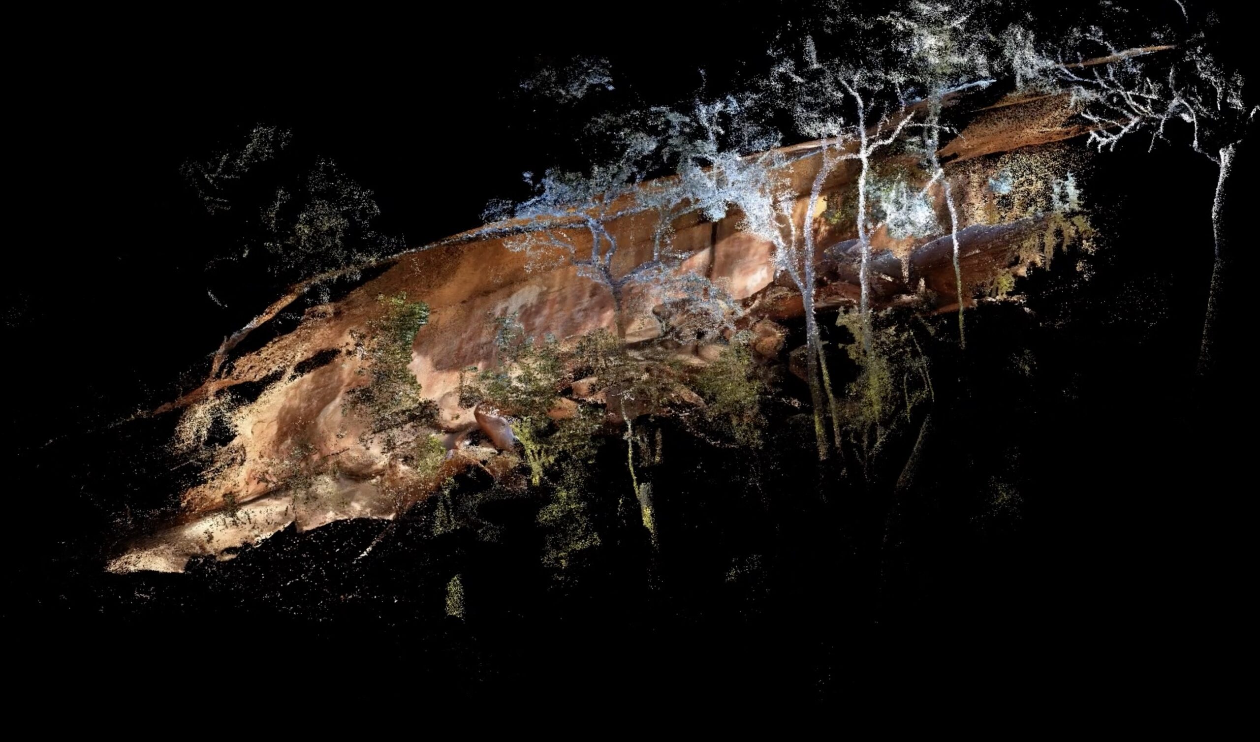 west yalanji magnificent gallery