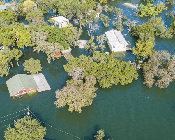 An image captured by a drone from a natural perspective